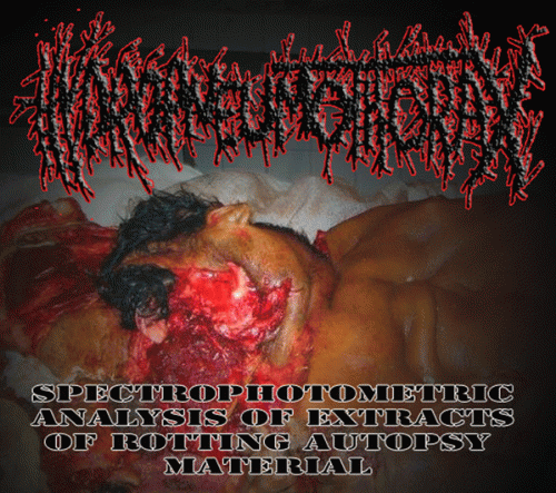 Spectrophotometric Analysis of Extracts of Rotting Autopsy Material